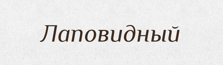 Лаповидный — Російсько-український академічний словник (А–П)
