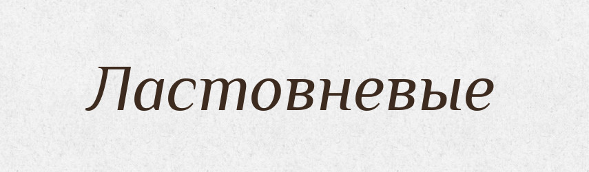 Ластовневые — Російсько-український академічний словник (А–П)