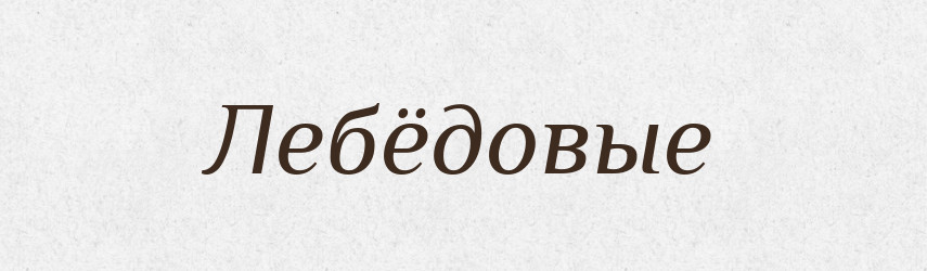 Лебёдовые — Російсько-український академічний словник (А–П)