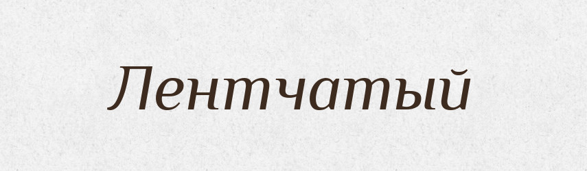 Лентчатый — Російсько-український академічний словник (А–П)