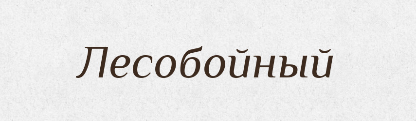 Лесобойный — Російсько-український академічний словник (А–П)