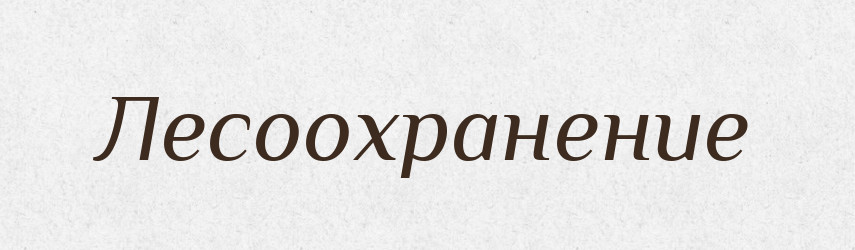 Лесоохранение — Російсько-український академічний словник (А–П)