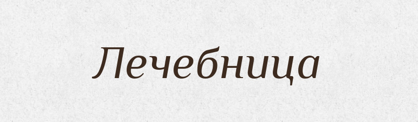Лечебница — Російсько-український академічний словник (А–П)