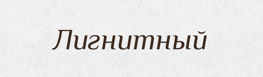 Лигнитный — Російсько-український академічний словник (А–П)