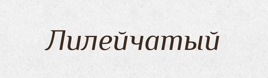 Лилейчатый — Російсько-український академічний словник (А–П)