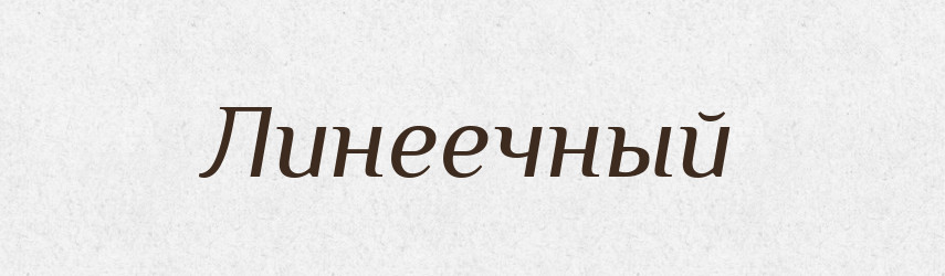Линеечный — Російсько-український академічний словник (А–П)