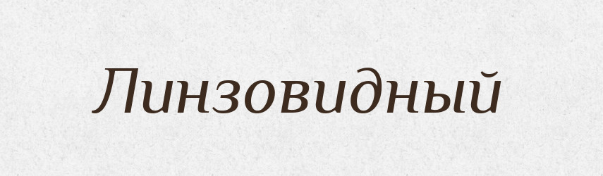 Линзовидный — Російсько-український академічний словник (А–П)