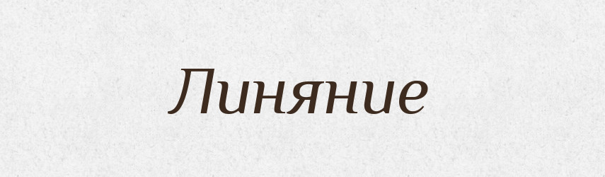 Линяние — Російсько-український академічний словник (А–П)