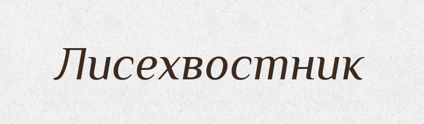 Лисехвостник — Російсько-український академічний словник (А–П)