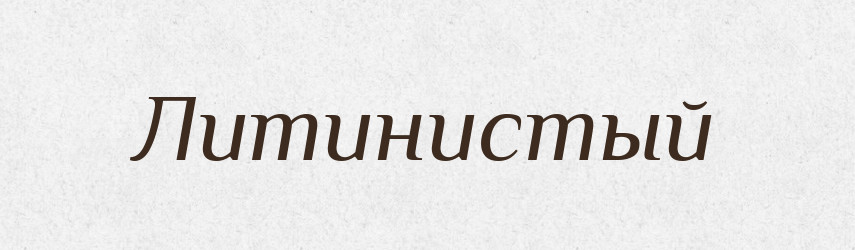 Литинистый — Російсько-український академічний словник (А–П)