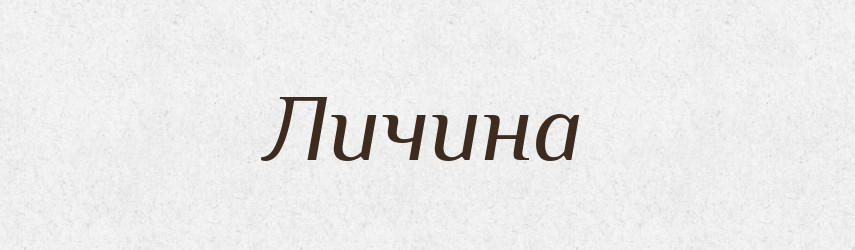Личина — Російсько-український академічний словник (А–П)