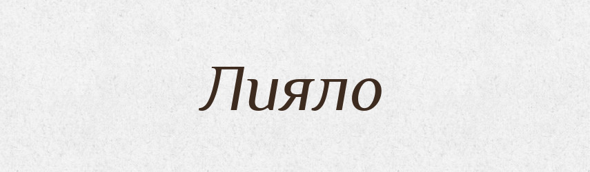 Лияло — Російсько-український академічний словник (А–П)
