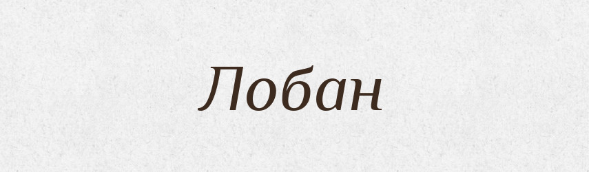 Лобан — Російсько-український академічний словник (А–П)