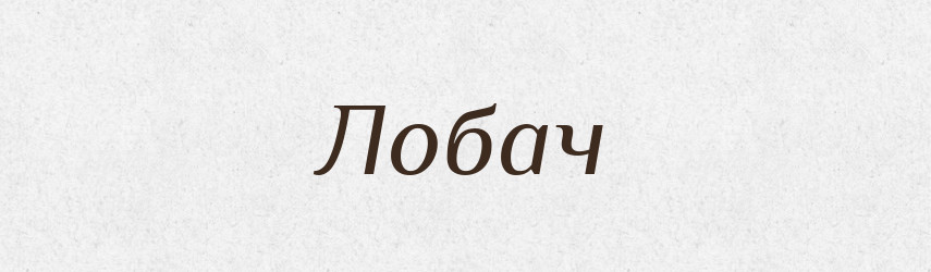 Лобач — Російсько-український академічний словник (А–П)