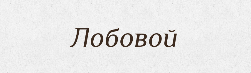 Лобовой — Російсько-український академічний словник (А–П)