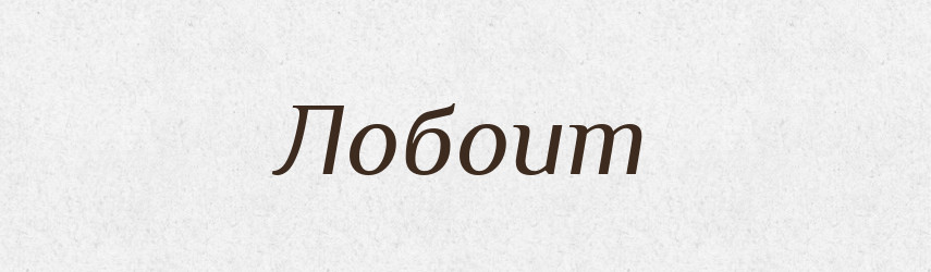 Лобоит — Російсько-український академічний словник (А–П)