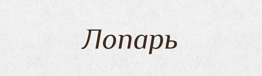 Лопарь — Російсько-український академічний словник (А–П)