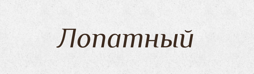 Лопатный — Російсько-український академічний словник (А–П)