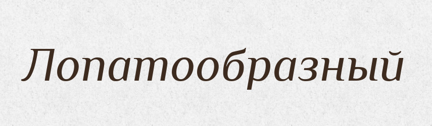 Лопатообразный — Російсько-український академічний словник (А–П)