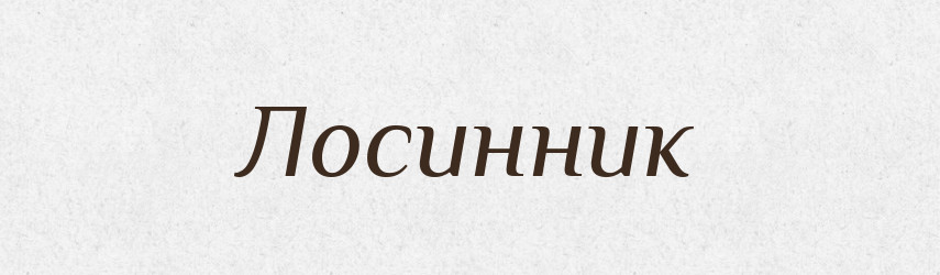 Лосинник — Російсько-український академічний словник (А–П)