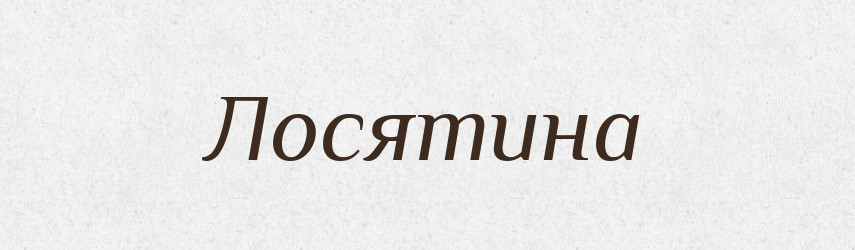 Лосятина — Російсько-український академічний словник (А–П)