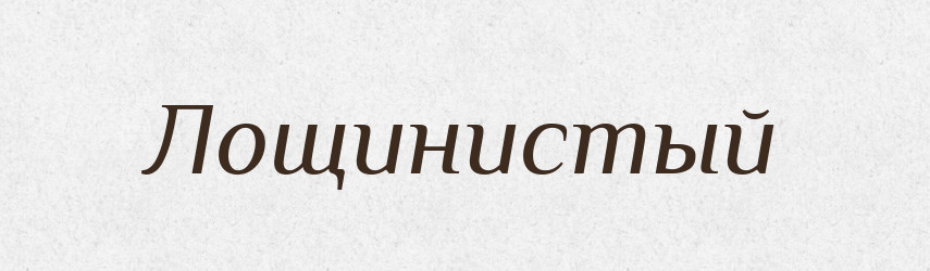 Лощинистый — Російсько-український академічний словник (А–П)