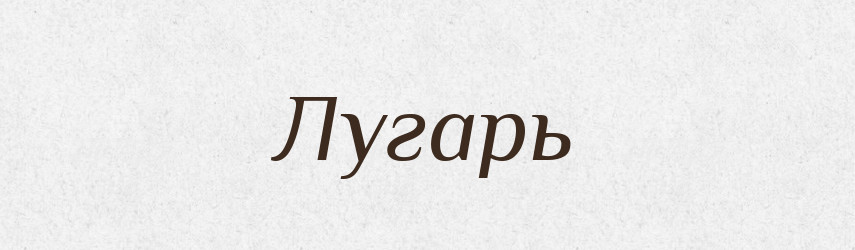 Лугарь — Російсько-український академічний словник (А–П)
