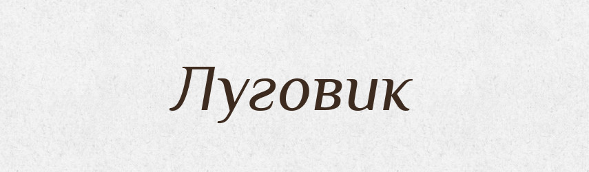 Луговик — Російсько-український академічний словник (А–П)