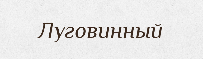 Луговинный — Російсько-український академічний словник (А–П)