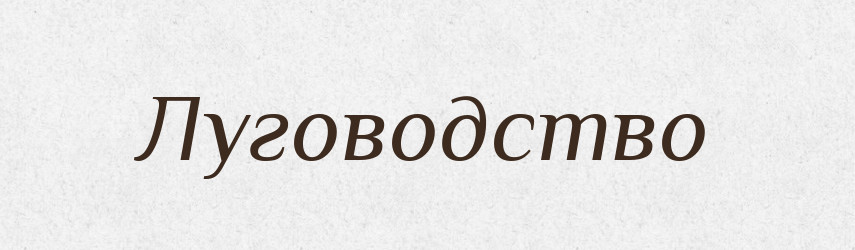 Луговодство — Російсько-український академічний словник (А–П)