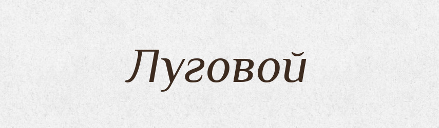 Луговой — Російсько-український академічний словник (А–П)