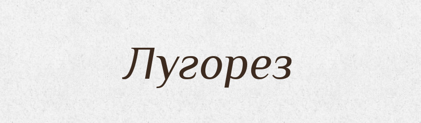 Лугорез — Російсько-український академічний словник (А–П)
