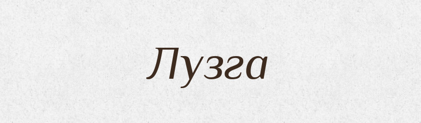 Лузга — Російсько-український академічний словник (А–П)