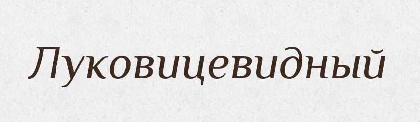 Луковицевидный — Російсько-український академічний словник (А–П)