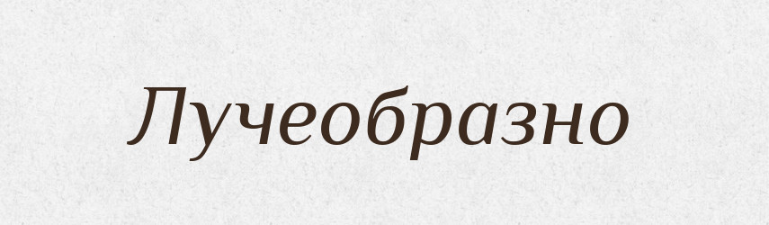 Лучеобразно — Російсько-український академічний словник (А–П)