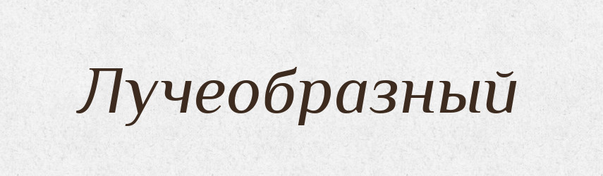 Лучеобразный — Російсько-український академічний словник (А–П)
