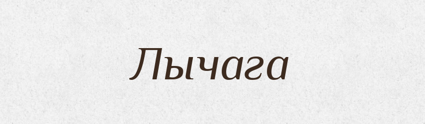 Лычага — Російсько-український академічний словник (А–П)
