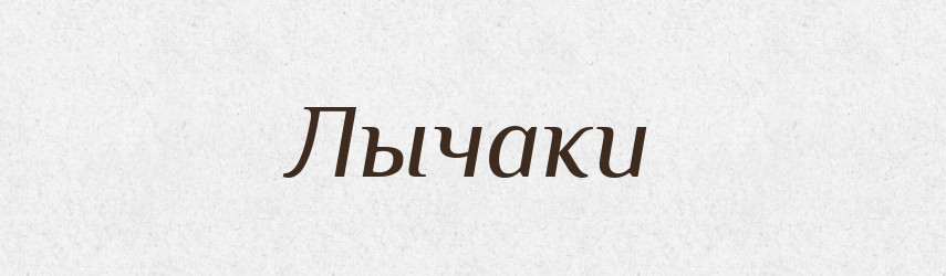 Лычаки — Російсько-український академічний словник (А–П)