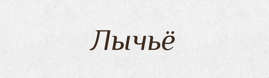 Лычьё — Російсько-український академічний словник (А–П)