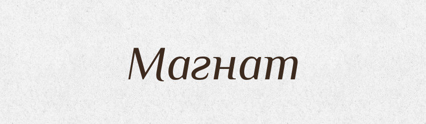 Магнат — Російсько-український академічний словник (А–П)