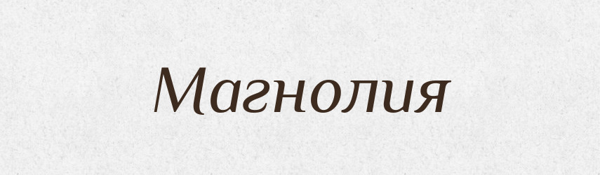 Магнолия — Російсько-український академічний словник (А–П)