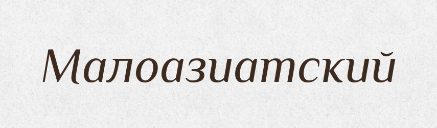 Малоазиатский — Російсько-український академічний словник (А–П)