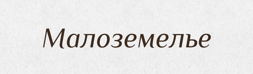 Малоземелье — Російсько-український академічний словник (А–П)
