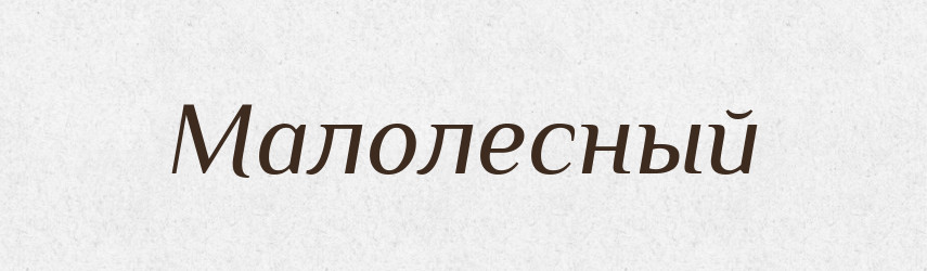 Малолесный — Російсько-український академічний словник (А–П)
