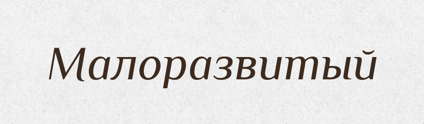 Малоразвитый — Російсько-український академічний словник (А–П)