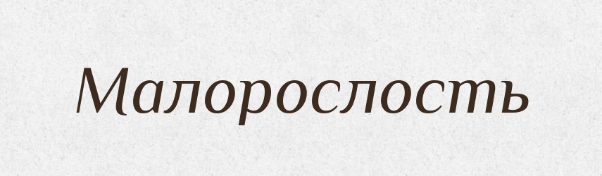 Малорослость — Російсько-український академічний словник (А–П)