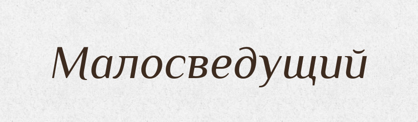 Малосведущий — Російсько-український академічний словник (А–П)