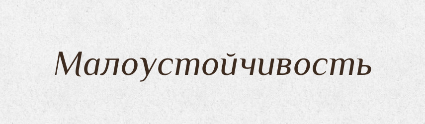 Малоустойчивость — Російсько-український академічний словник (А–П)