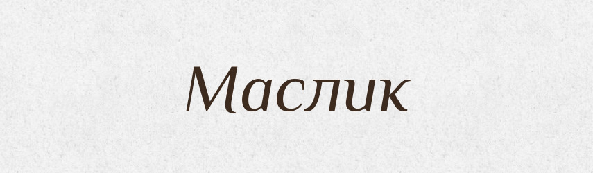 Маслик — Російсько-український академічний словник (А–П)