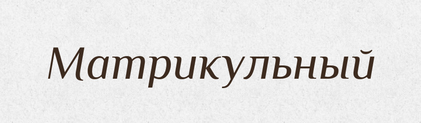 Матрикульный — Російсько-український академічний словник (А–П)